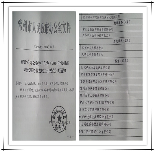 常州市政府再次確立中環(huán)互聯(lián)網(wǎng)為2014年現(xiàn)代服務(wù)業(yè)重點(diǎn)培育企業(yè)，中環(huán)互聯(lián)網(wǎng)作為常州電子商務(wù)領(lǐng)軍企業(yè)，15年專注在為企業(yè)提供互聯(lián)網(wǎng)營(yíng)銷解決方案。