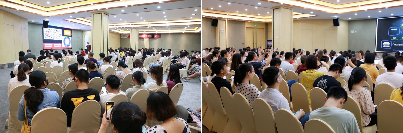 7751599011257373.jpg 33.jpg